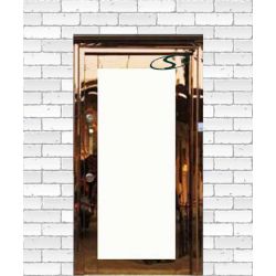 درب استیل ورودی مغازه روز گلد شیشه خور